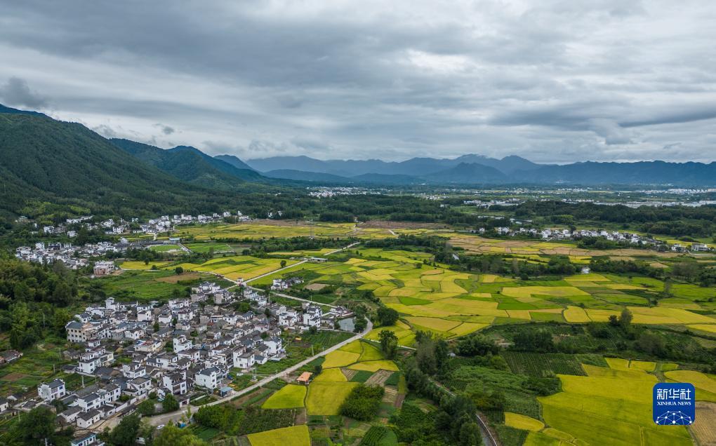 gd平台正规吗